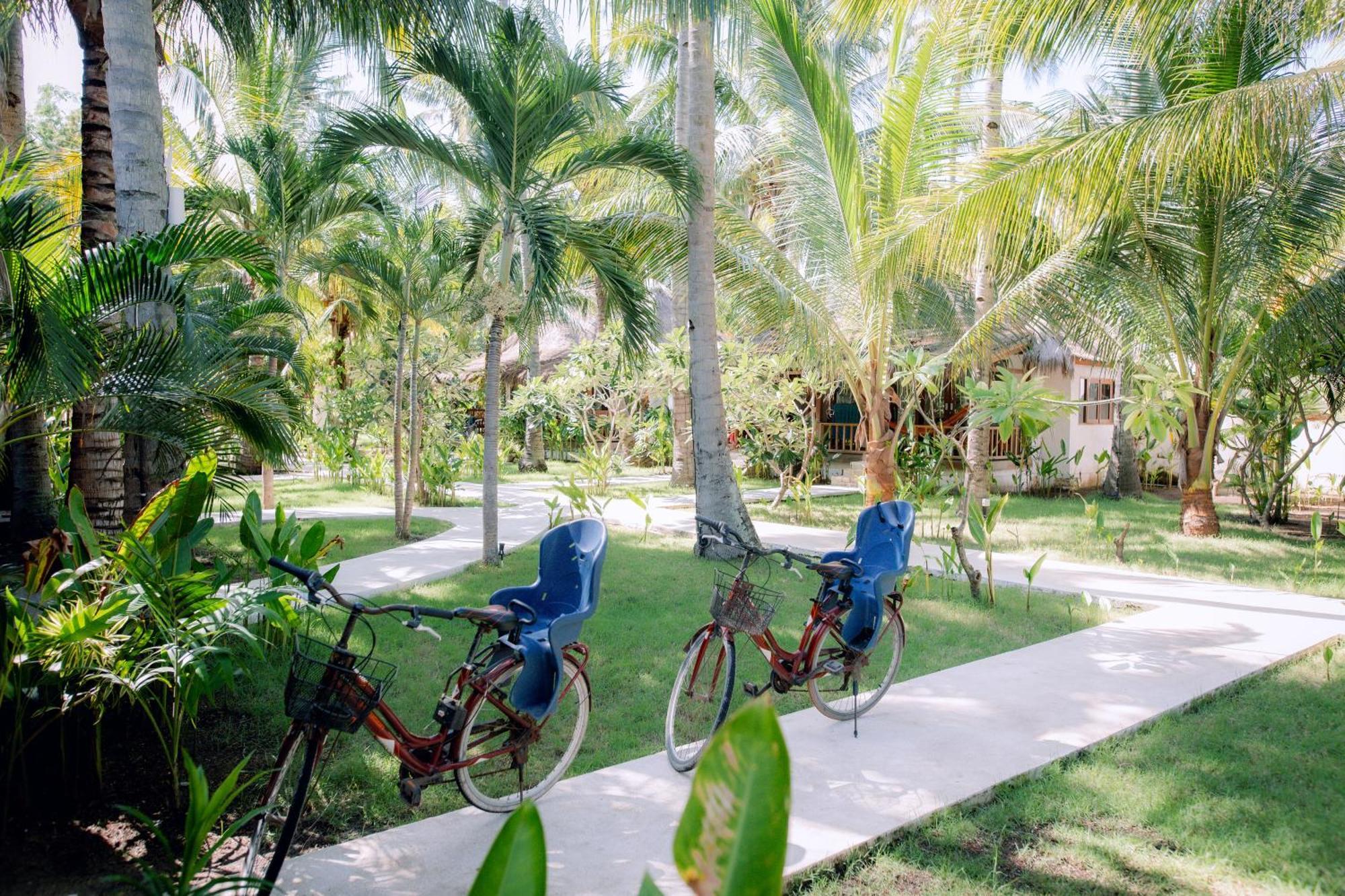 Hotel Island View Bar & 3*