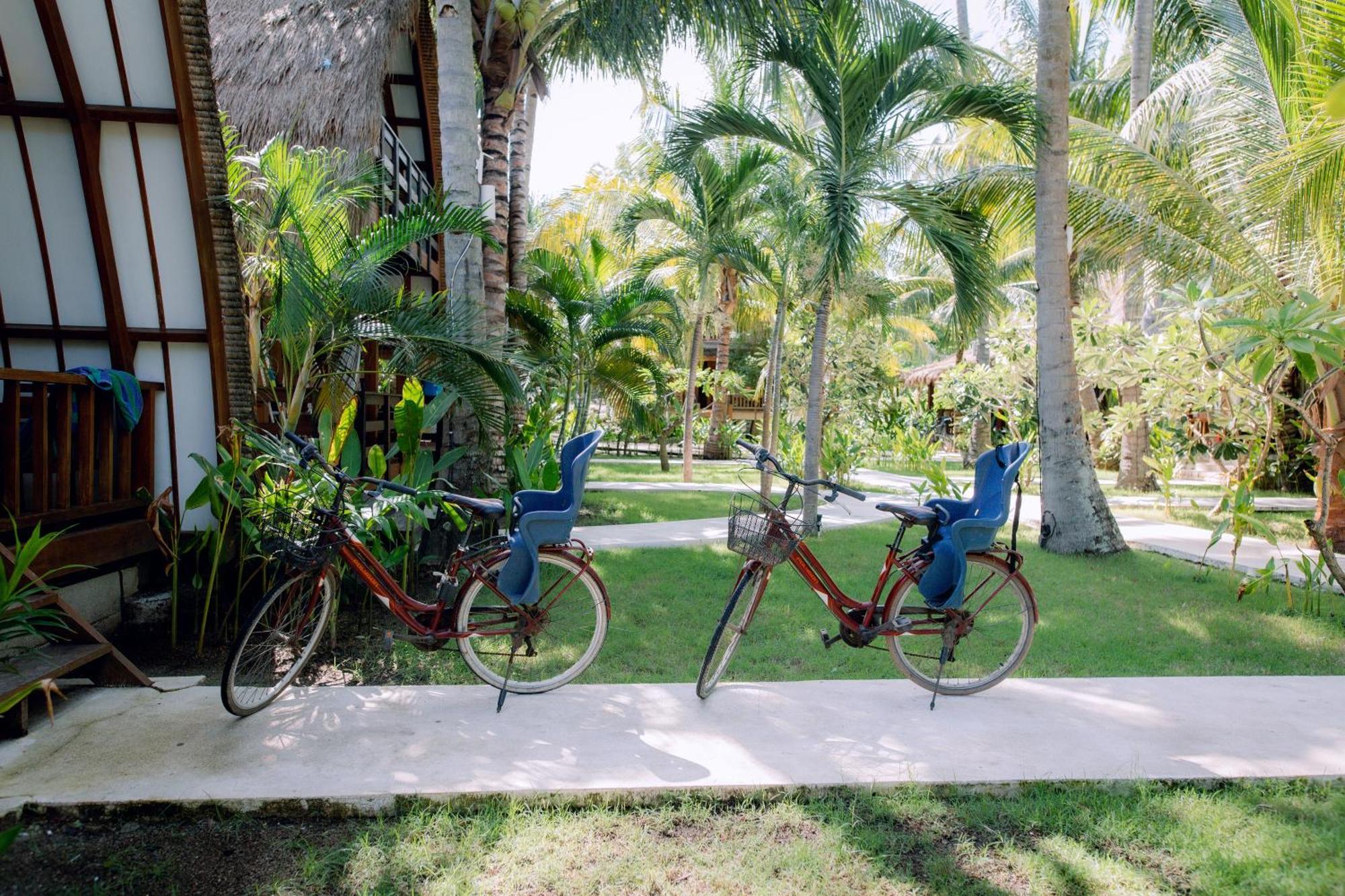 Island View Bar & Gili Air