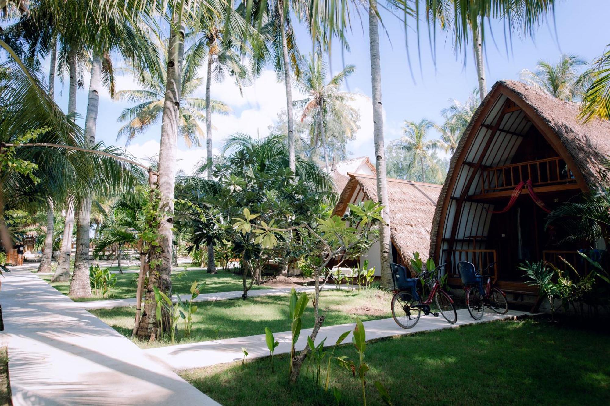 Hotel Island View Bar & 3*
